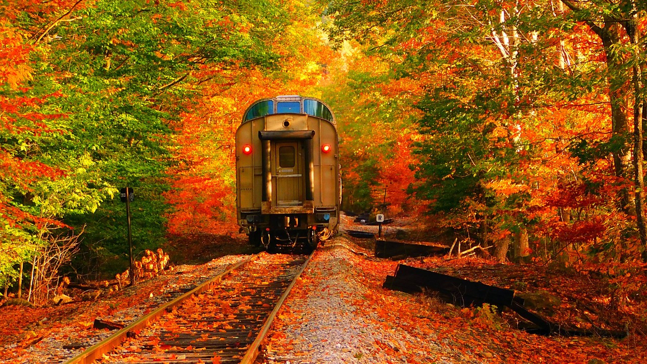 fall train rides in new england