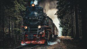 Lehigh Gorge Scenic Railway: Visitor Guide