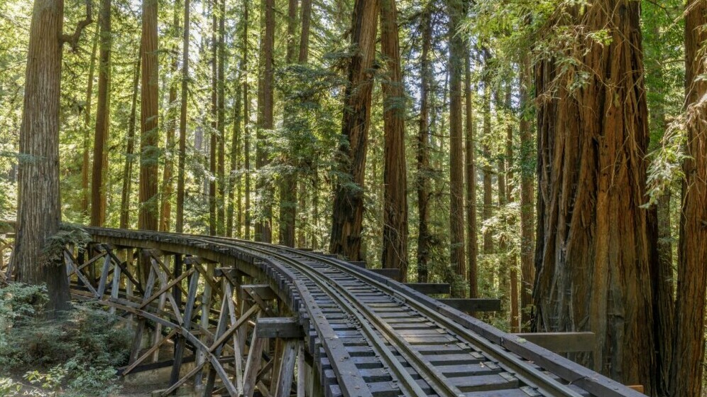 skunk train california