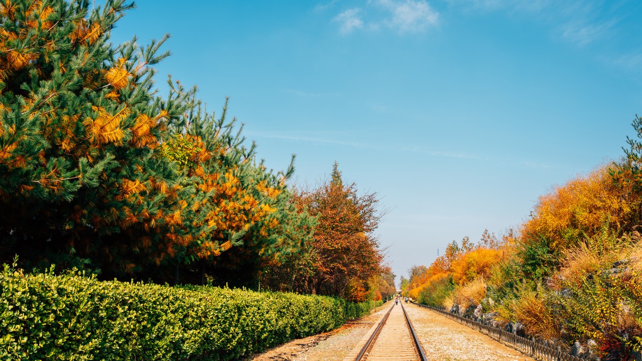 Best Scenic Train Rides In Connecticut