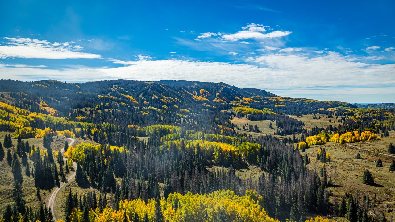 Cumbres And Toltec Scenic Railroad