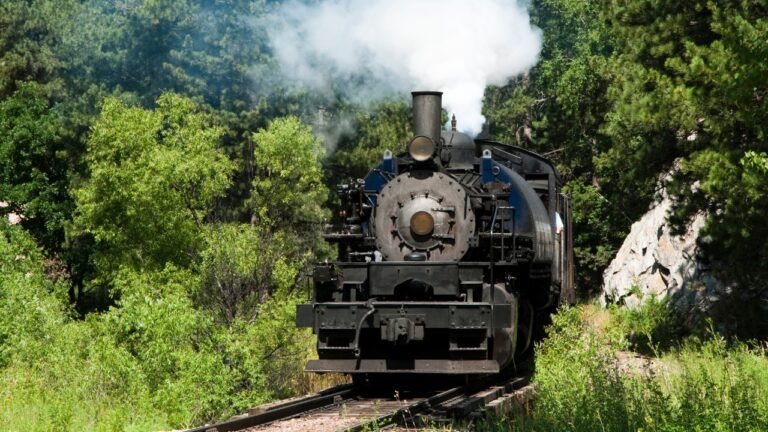 Mount Rainier Scenic Railroad: A Guide For Visitors